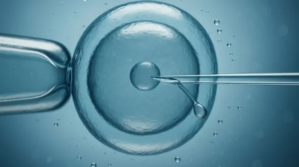 Fertilização in vitro: como funciona, custos e dúvidas comuns